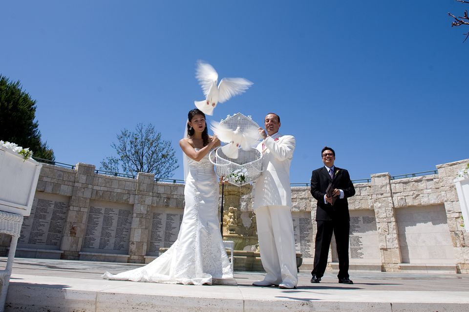 dove release wedding dress