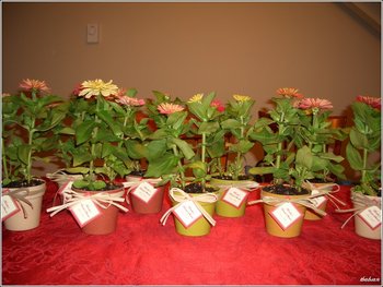 Potted flower wedding favor