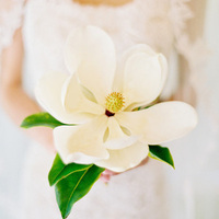 seed to stem bouquets seed to stem bouquets
