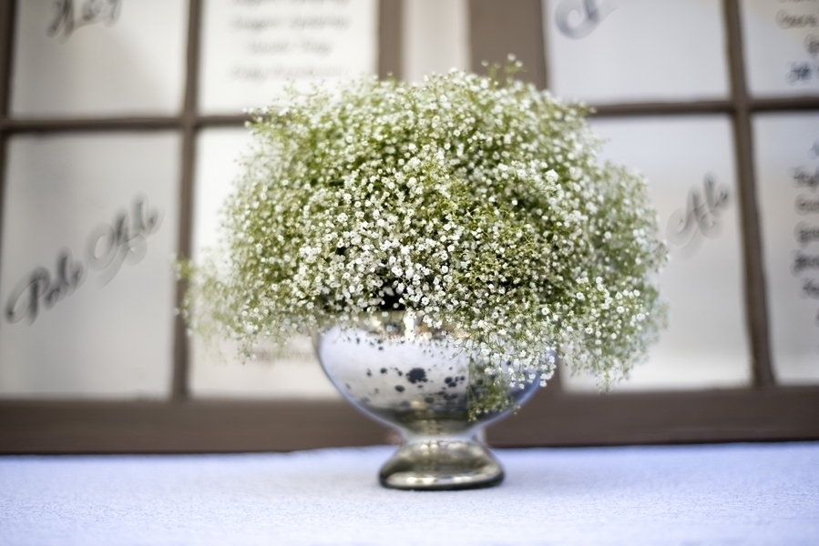 An arrangement of babys breath in a mercury glass vase Photo by